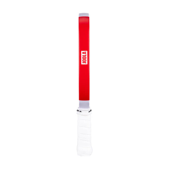 JOOLA Pro IV Mini Paddle Perseus Graf